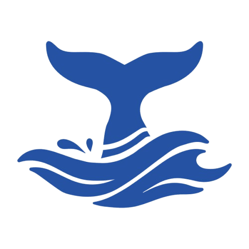 أكاديمية ويل تيل